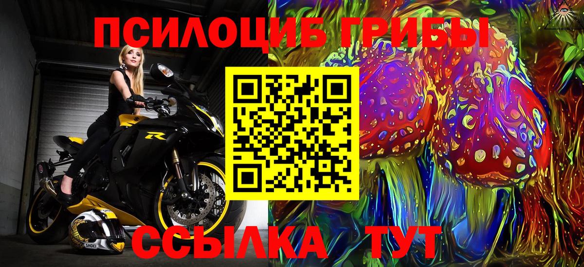 Псилоцибиновые грибы MAGIC MUSHROOMS  Вход с VPN  Отрадное 